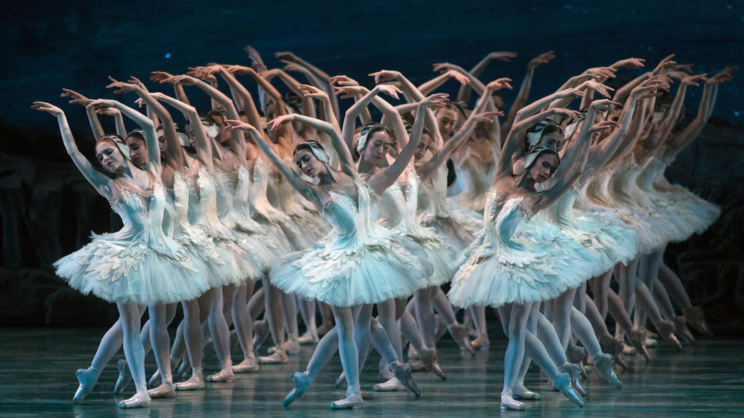 dancers performing Swan Lake